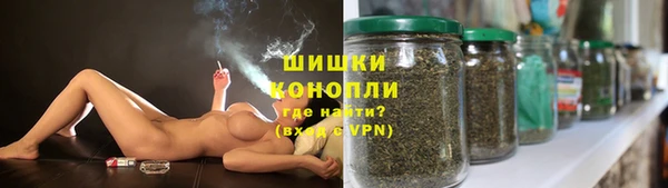 прущий лед Пересвет