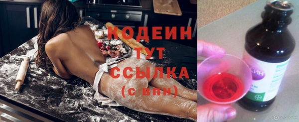 прущий лед Пересвет