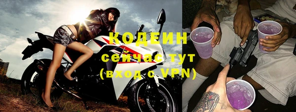 прущий лед Пересвет