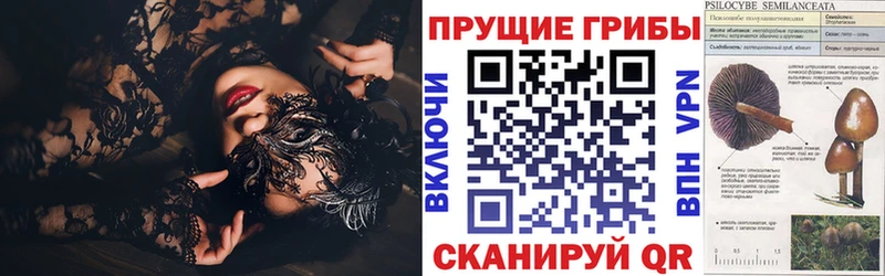 Галлюциногенные грибы Psilocybe Мамоново